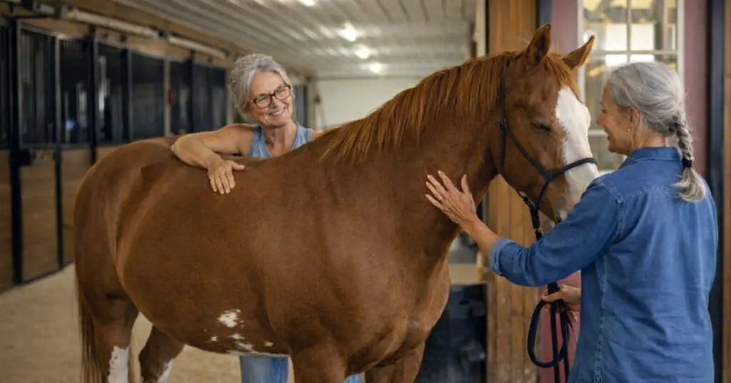 Treating horses with CellSonic - Jette Breitenstein