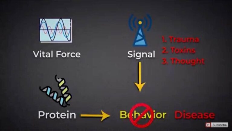 Reference Bruce Lipton